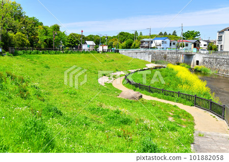 從杉並區幾味公園附近眺望武藏野橋/善福寺川（東京都杉並區）[2023年4月] 101882058