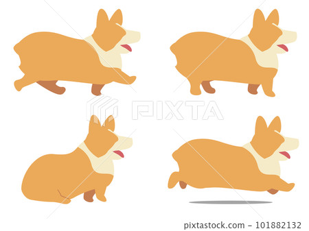 威爾士柯基犬平面插圖的各種姿勢 101882132