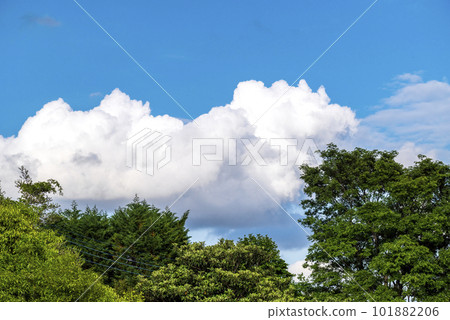 日本鄉村的夏天 101882206