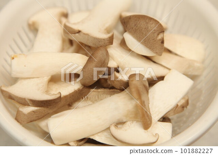 king oyster mushroom king oyster mushroom 101882227