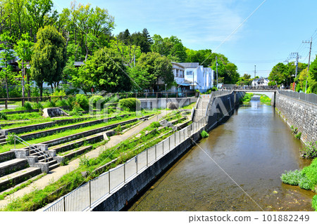 武藏野橋/善福寺川上游/眺望三見橋（東京都杉並區）[2023年4月] 101882249