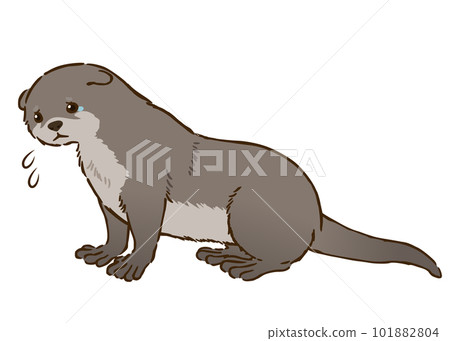 悲傷的水獺 悲傷的水獺 101882804