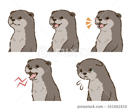 水獺面部表情集 水獺面部表情集 101882810