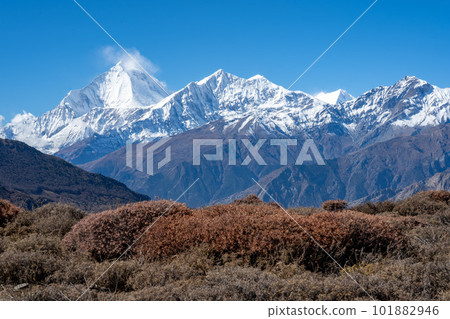 Snow Covered Mountains above the Desert Snow Covered Mountains above the Desert 101882946