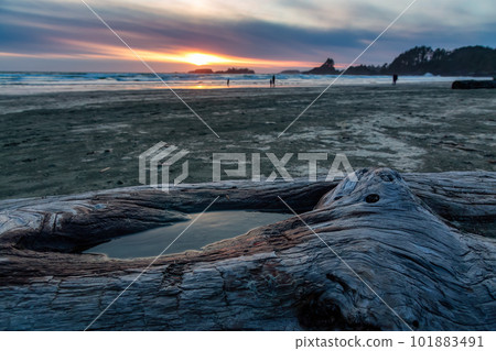 Rocky Shore on West Coast of Pacific Ocean in Tofino. Nature Background Rocky Shore on West Coast of Pacific Ocean in Tofino. Nature Background 101883491
