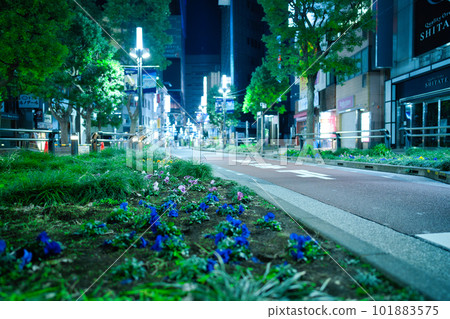 夜晚的陽光街 夜晚的陽光街 101883575