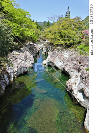 Sarutobi Chitenkyo Sarutobi Chitenkyo 101883730