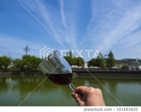 The wine you drink under the sunny sky is so delicious 101883920