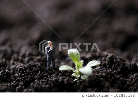 幼苗 種子 雜草 101885158