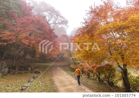 221112 Shiroyama Park s123 221112 Shiroyama Park s123 101885774