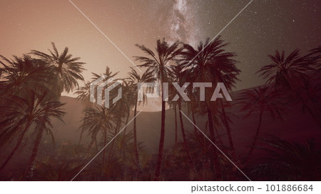 The Milky Way rises over plam trees The Milky Way rises over plam trees 101886684