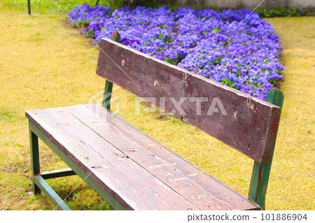 Bench in a park with nobody Bench in a park with nobody 101886904