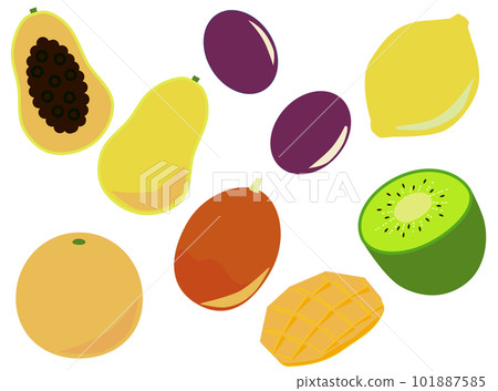 Set illustration of simple fruits 101887585