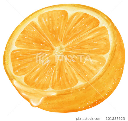 Watercolour cut half orange fruit with juice drip hand painted illustration Watercolour cut half orange fruit with juice drip hand painted illustration 101887623