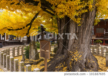 221117 飛騨國分寺 z034 101887695