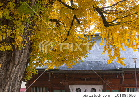 221117 飛騨國分寺 z031 101887696