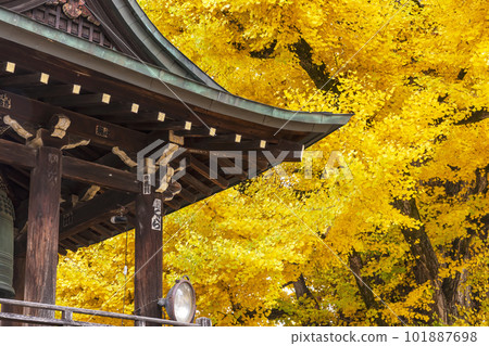 221117 飛騨國分寺 z027 101887698