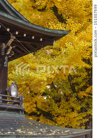 221117 飛騨國分寺 z022 101887699