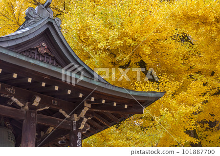 221117 飛騨國分寺 z020 101887700