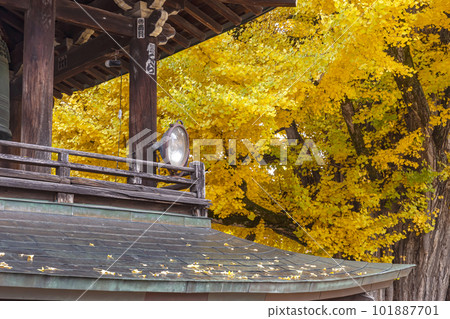 221117 飛騨國分寺 z016 101887701