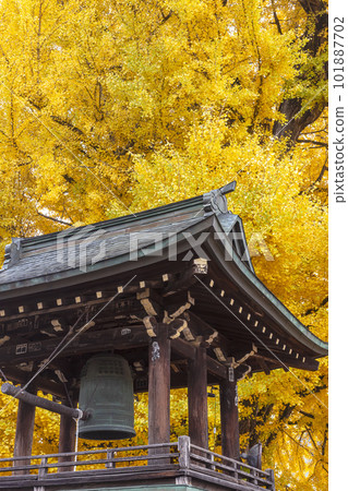 221117 飛騨國分寺 z012 221117 飛騨國分寺 z012 101887702