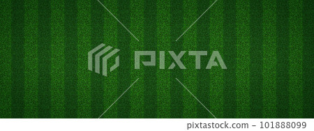 Football green grass stadium texture top view Football green grass stadium texture top view 101888099