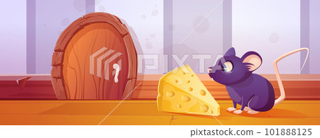 Small rat near mouse hole door and cheese lure 101888125