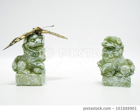 一隻燕尾蝶棲息在一隻護衛犬的頭上 101888901