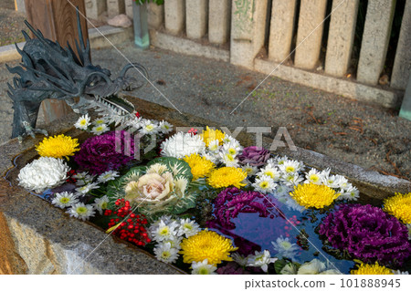 Shrine shrine Shrine shrine 101888945