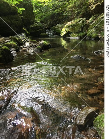 與澤川上游的清流 101889029