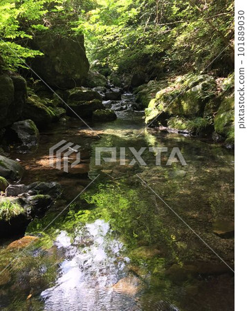 夏季水面變綠的與澤川上游 101889030