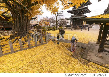 221122 Hida Kokubunji s270 101889721