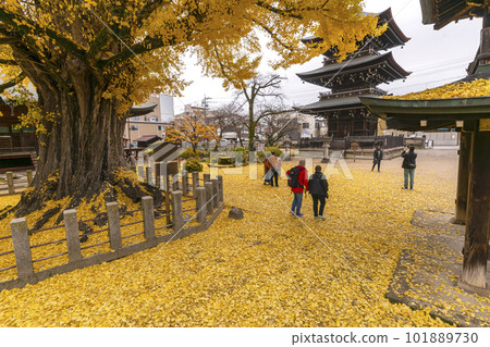 221122 Hida Kokubunji s203 101889730