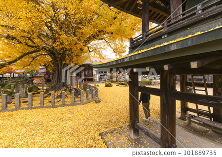 221122 飛騨國分寺 s149 101889735