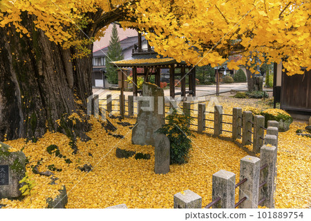 221122 飛騨國分寺 z081 221122 飛騨國分寺 z081 101889754