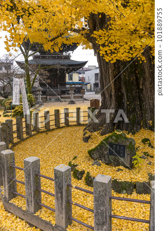 221122 飛騨國分寺 z071 101889755