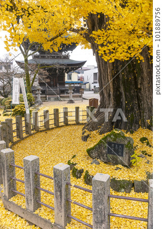 221122 Hida Kokubunji z070 101889756