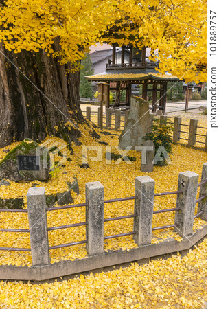 221122 Hida Kokubunji z055 101889757