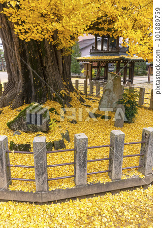 221122 飛騨國分寺 z054 221122 飛騨國分寺 z054 101889759