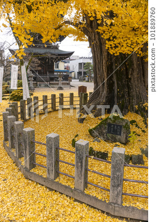 221122 飛騨國分寺 z051 221122 飛騨國分寺 z051 101889760