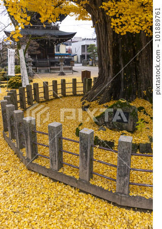 221122 飛騨國分寺 z050 221122 飛騨國分寺 z050 101889761