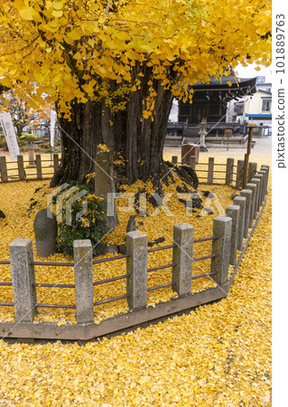 221122 飛騨國分寺 z043 221122 飛騨國分寺 z043 101889763