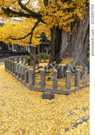 221122 飛騨國分寺 z012 101889769