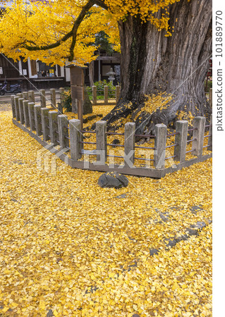 221122 飛騨國分寺 z011 221122 飛騨國分寺 z011 101889770