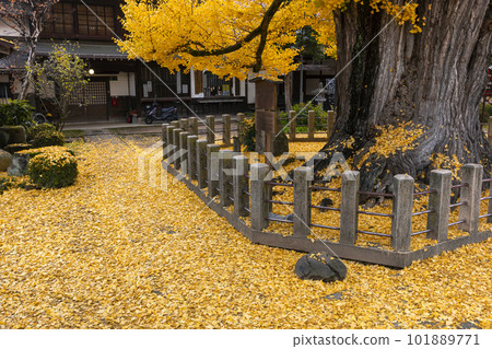 221122 飛騨國分寺 z009 221122 飛騨國分寺 z009 101889771