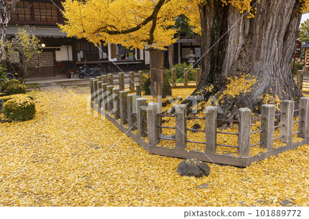 221122 Hida Kokubunji z008 101889772