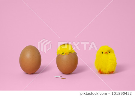 Egg hatch into chicks. Brown egg, funny newborn toy chick with broken egg shell on head, just born chick. Pink background, copyspace. Growth concept. Egg hatch into chicks. Brown egg, funny newborn toy chick with broken egg shell on head, just born chick. Pink background, copyspace. Growth concept. 101890432