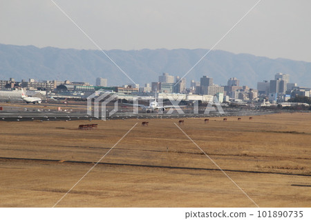 Osaka International Airport take off Osaka International Airport take off 101890735