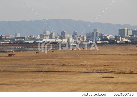 Osaka International Airport take off Osaka International Airport take off 101890736