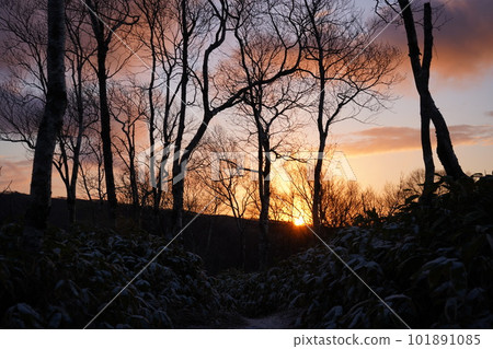 摩周山步道的日出 101891085